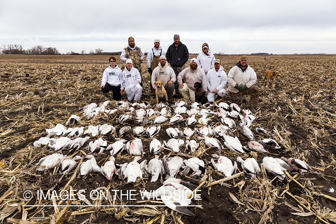 Hunters with bagged geese after successful day shooting.