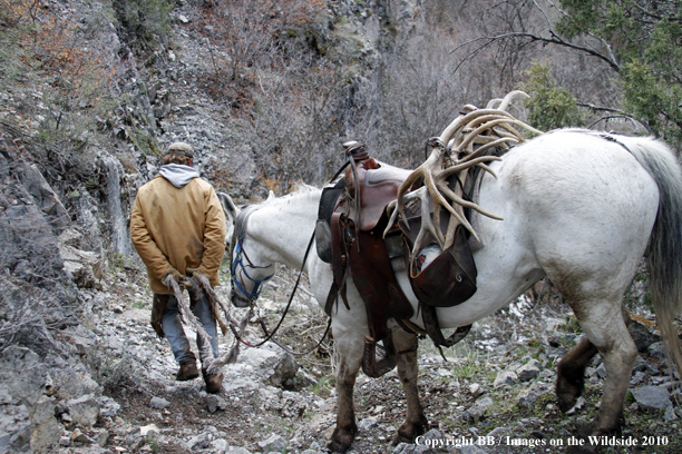 Big Game Hunter searching for drop sheds on horseback