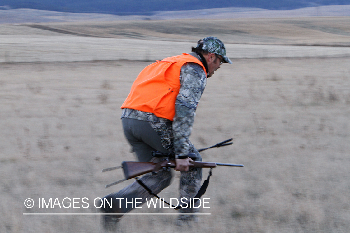 Big game hunter stalking game in field.