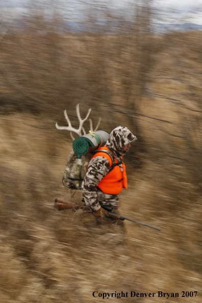 Mule deer hunter in field.