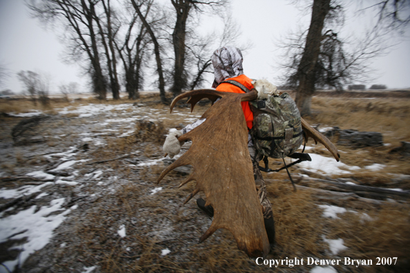 Moose hunter in field