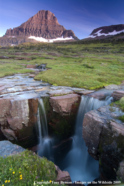 Waterfall in Glacier National Park near Logan Pass