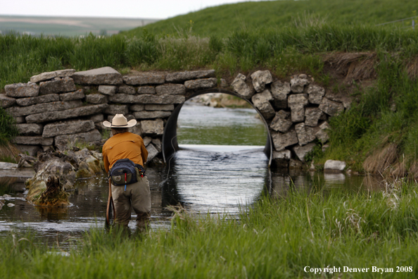 Flyfisherman fishing warm springs