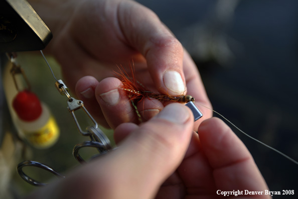 Flyfisherman with fly