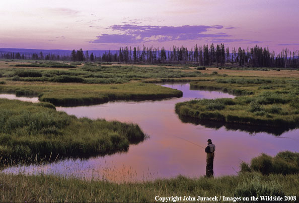 Flyfishing at Maple Creek