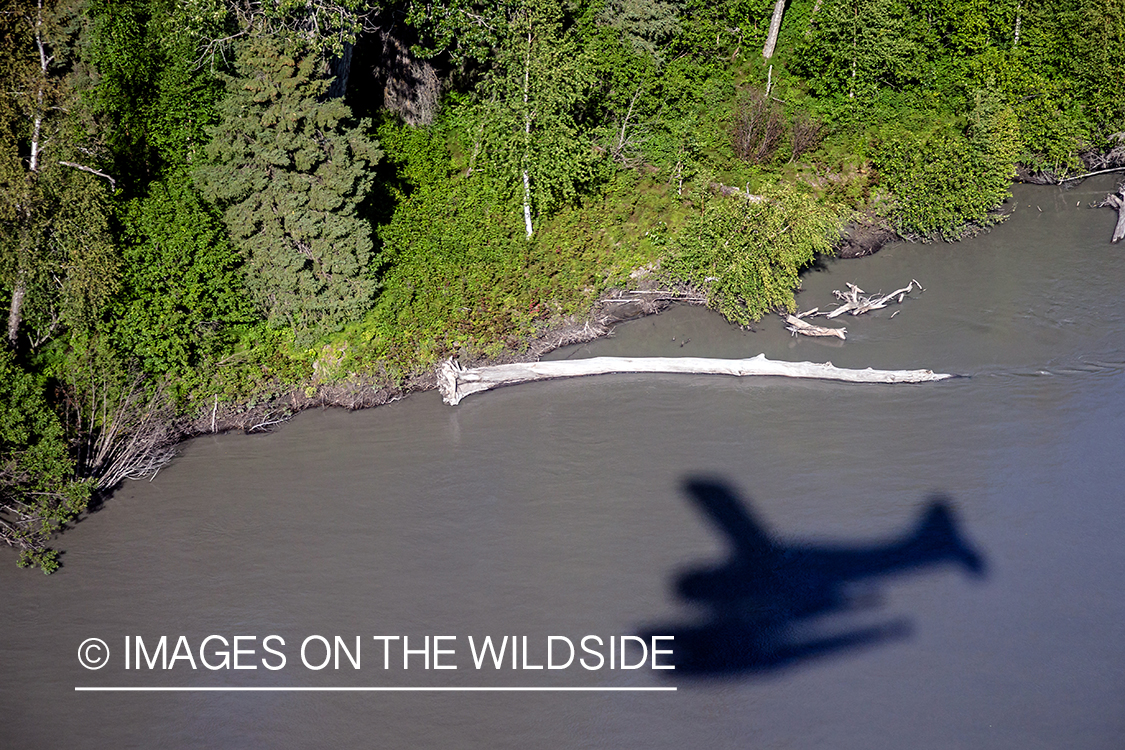 Float plane shadow on water, Alaska.