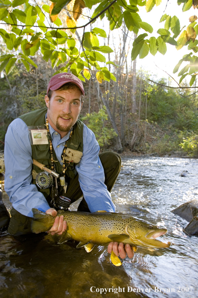 Close-up of nice brown trout.