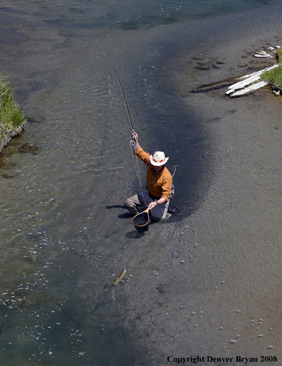 Flyfisherman fishing warm springs