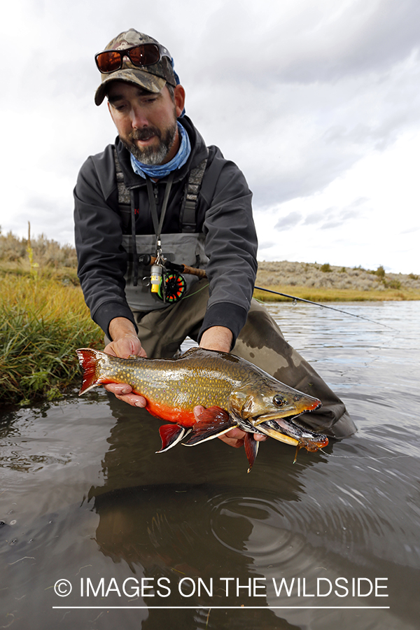 Flyfisherman with a brook trout.