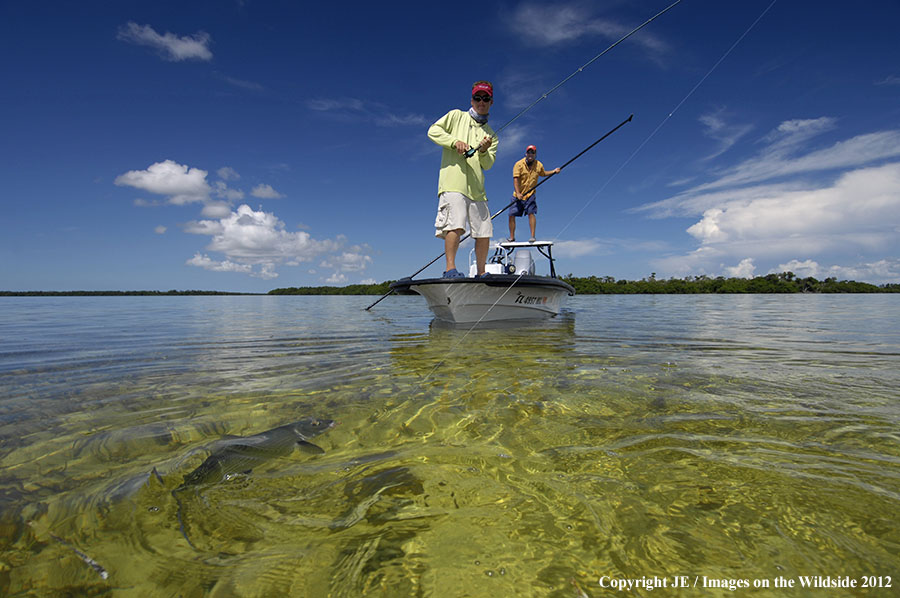 Flyfisherman fighting a bone fish on hook.