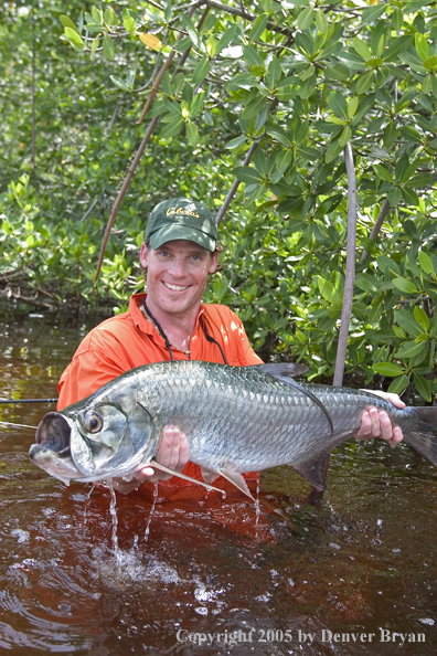 Flyfisherman w/tarpon 