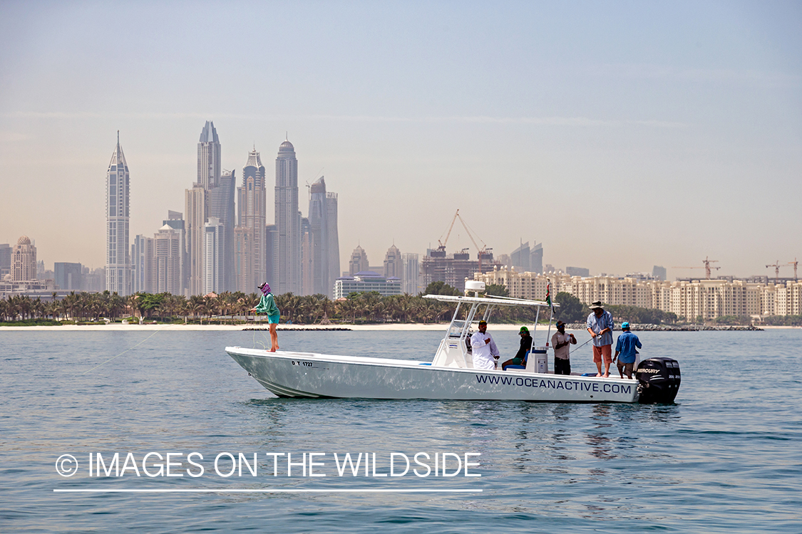 Flyfishing for queenfish off the coast of Dubai, UAE.