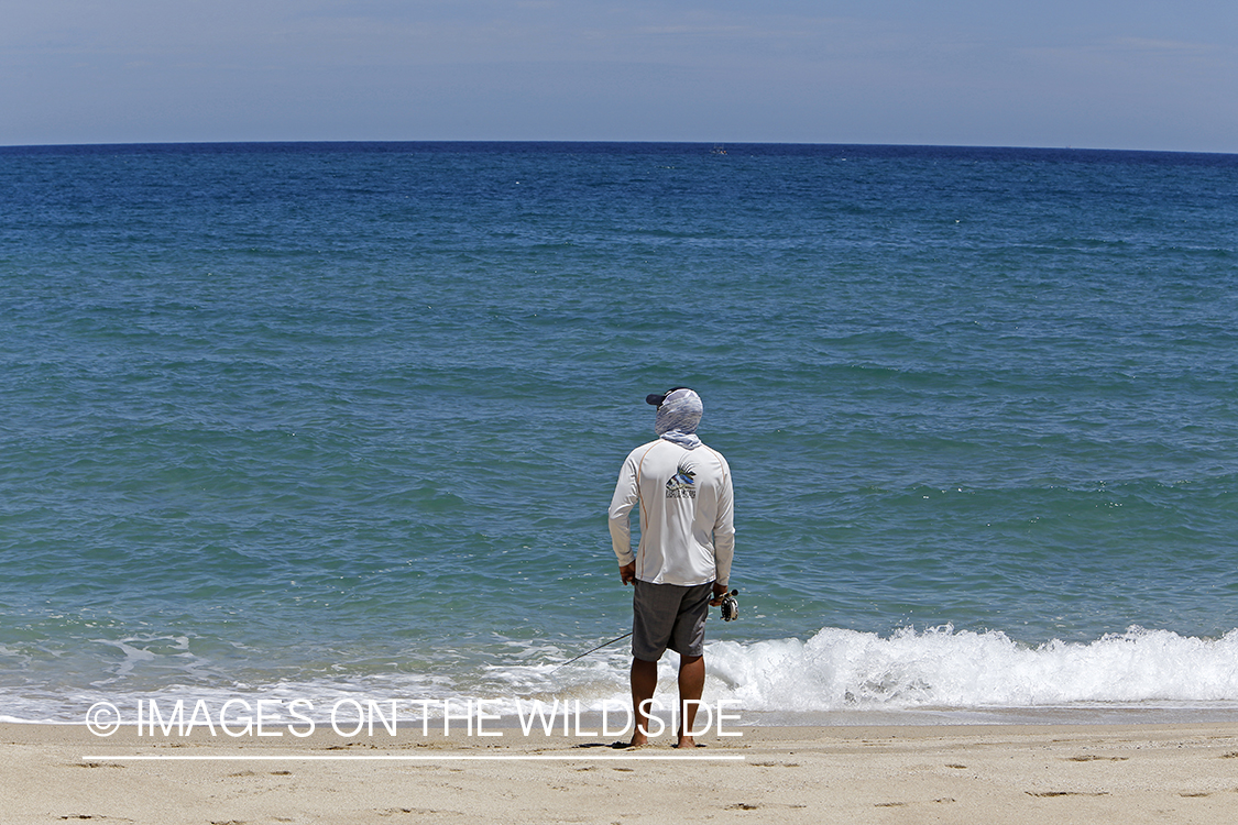 Chasing roosterfish on Baja Peninsula, Mexico.