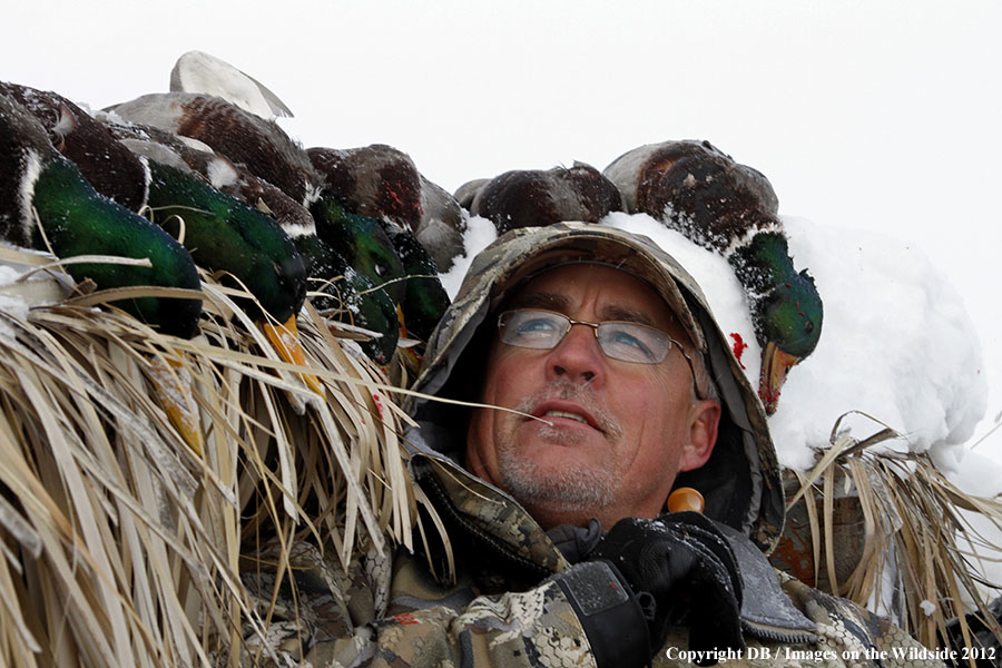 Hunter with call and bagged waterfowl.