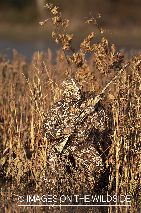 Waterfowl hunter camouflaged in wetlands.