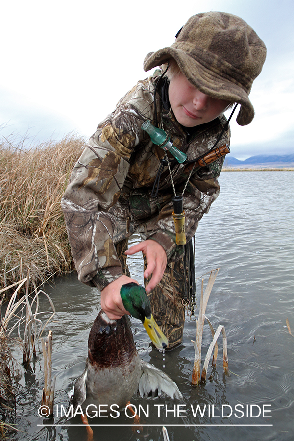 Young waterfowl hunter with bagged mallard.