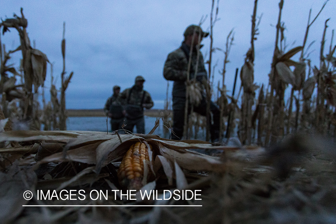 Waterfowl hunting