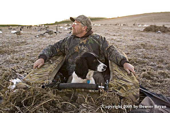 Goose hunter sitting in blind with Springer Spaniel.