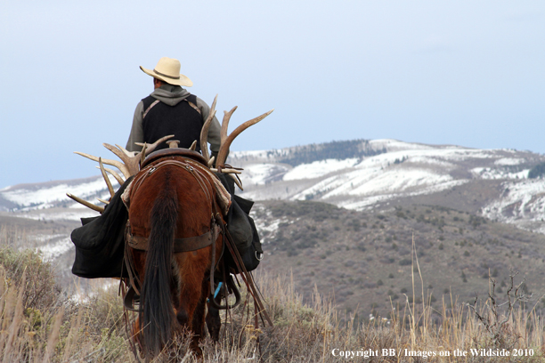 Big Game Hunter searching for drop sheds on horseback