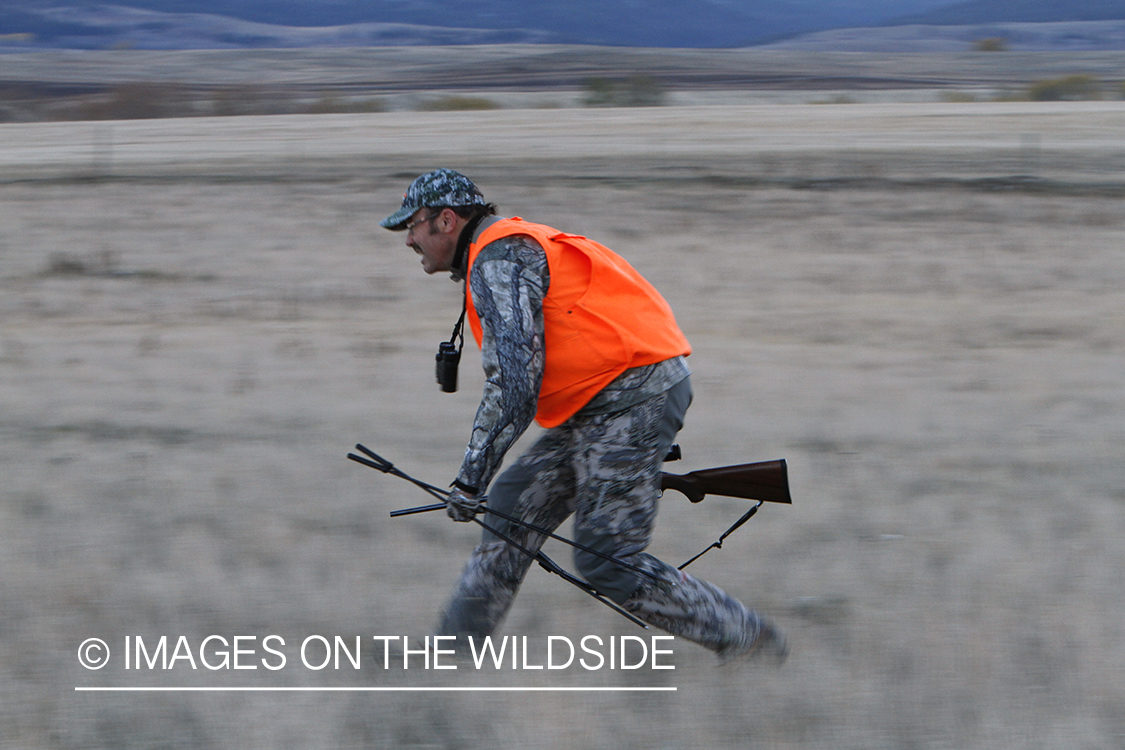 Big game hunter stalking game in field.