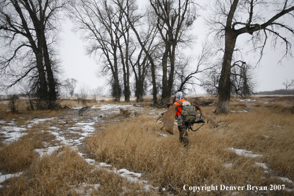 Moose hunter in field