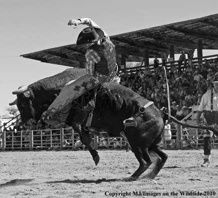 Augusta Rodeo