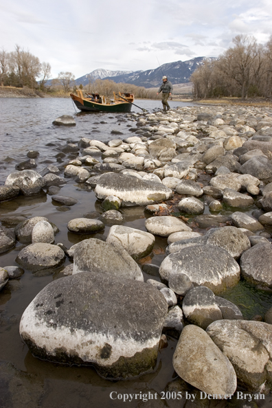 Flyfishermen preparing to launch wooden driftboat on Yellowstone River, MT.