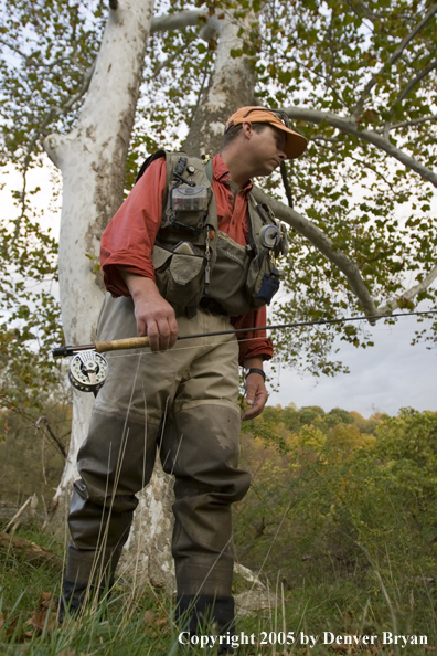 Close-up of flyfisherman walking to Pennsylvania spring creek through autumn-colored countryside.