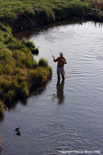 Flyfisherman fishing warm springs