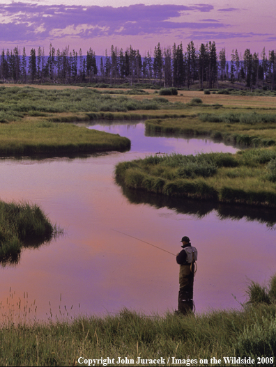 Flyfishing at Maple Creek