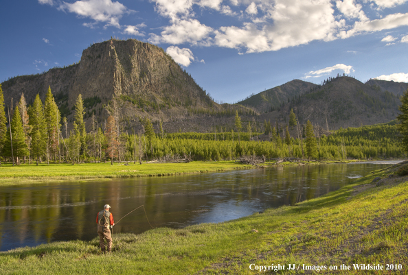 Madison River, Yellowstone National Park.