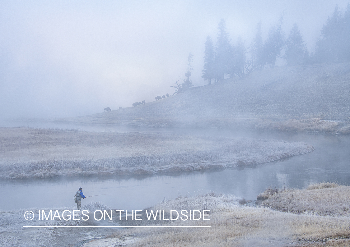 Flyfishing, Firehole River, Yellowstone National Park.