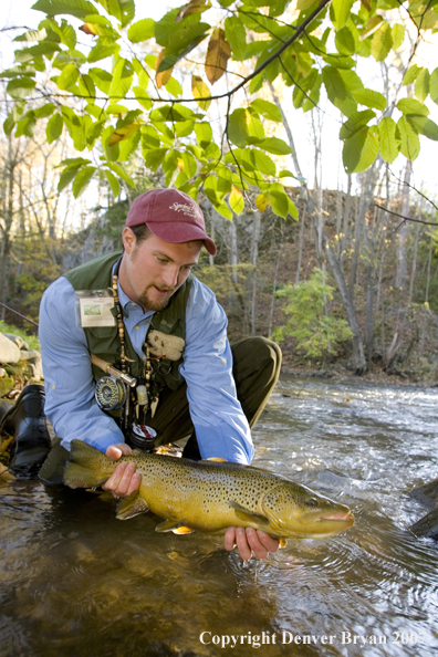 Close-up of nice brown trout.