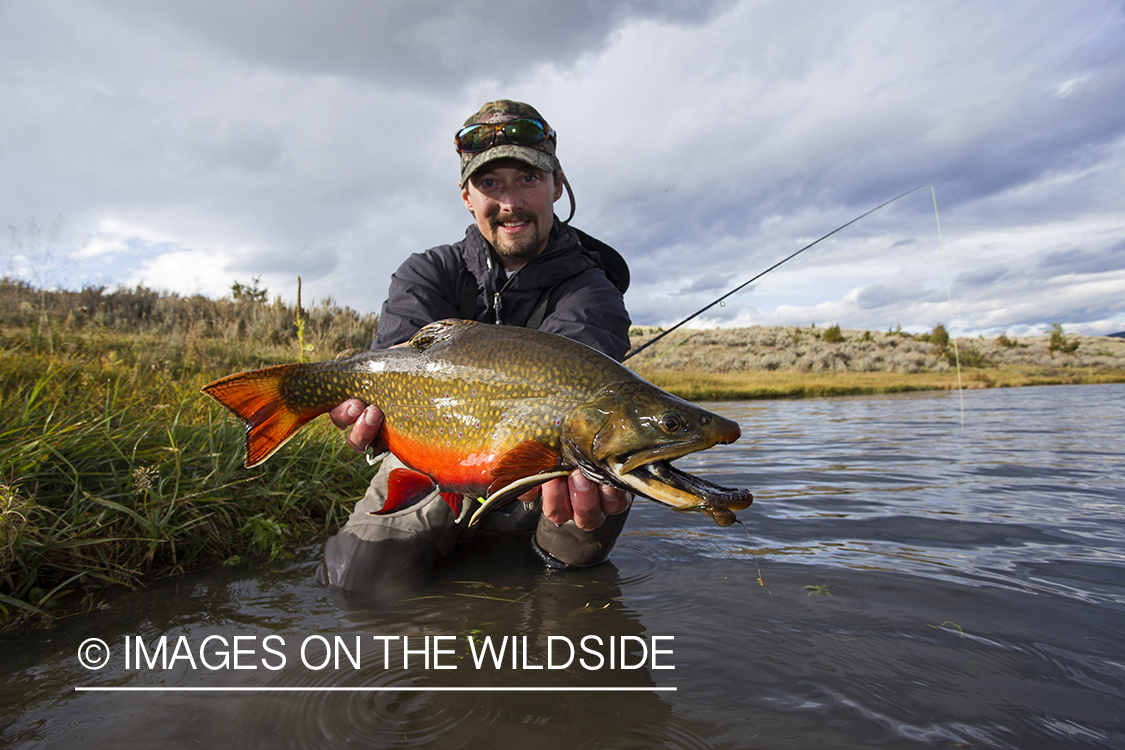 Flyfisherman with a brook trout.