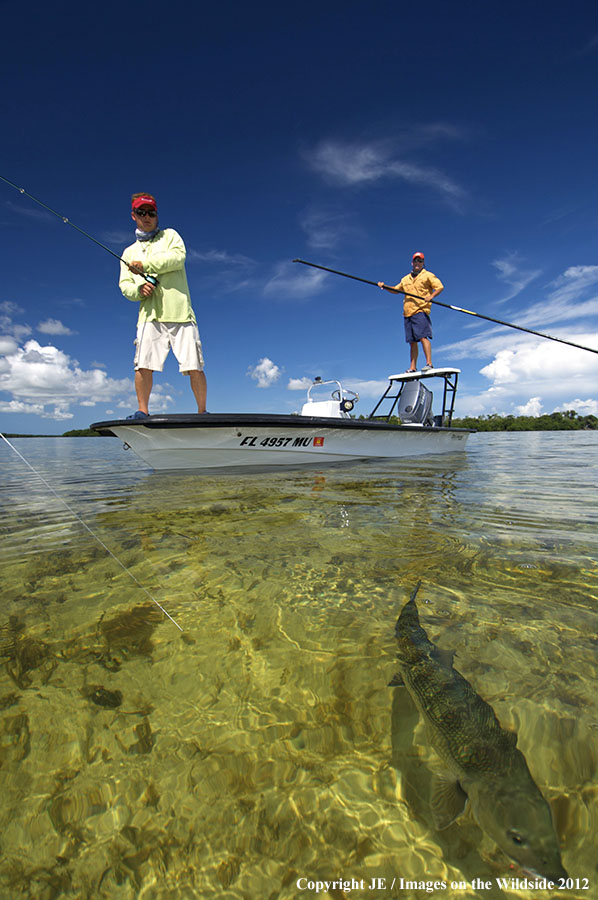 Flyfisherman releasing bone fish.