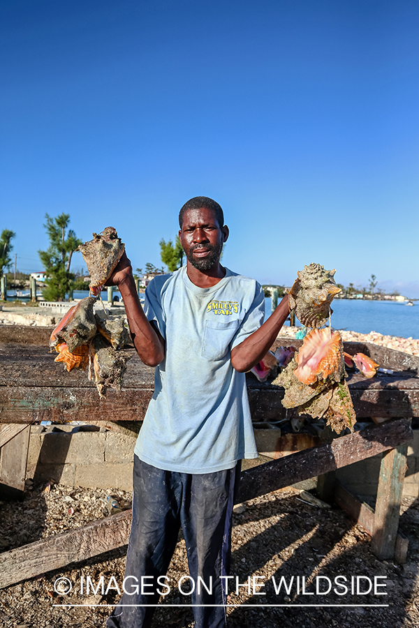 Local man with conch shells.