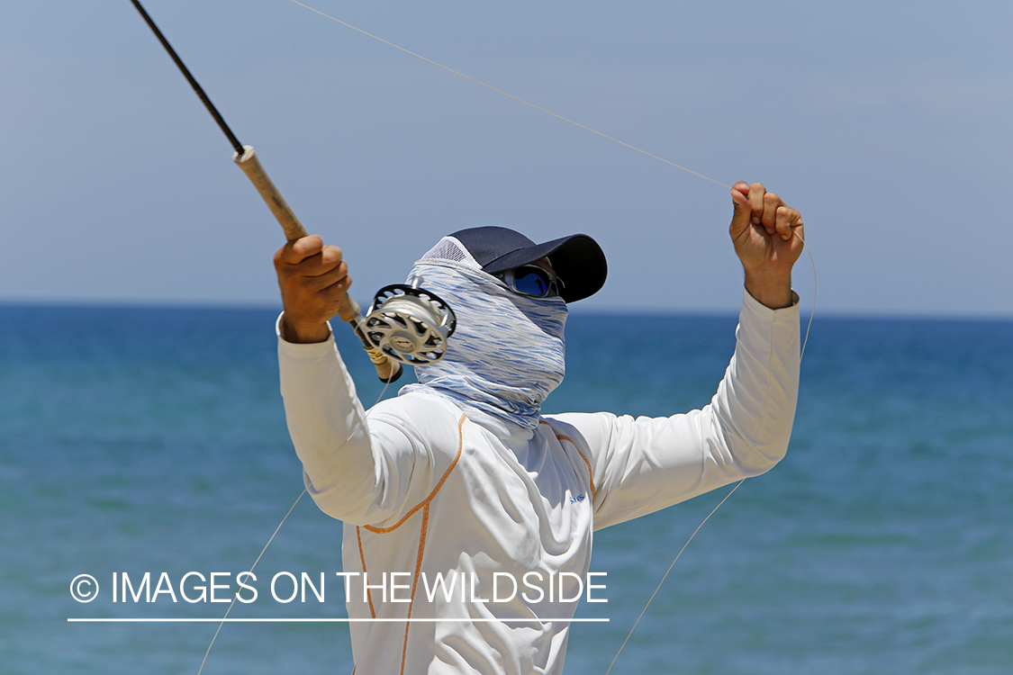 Chasing roosterfish on Baja Peninsula, Mexico.