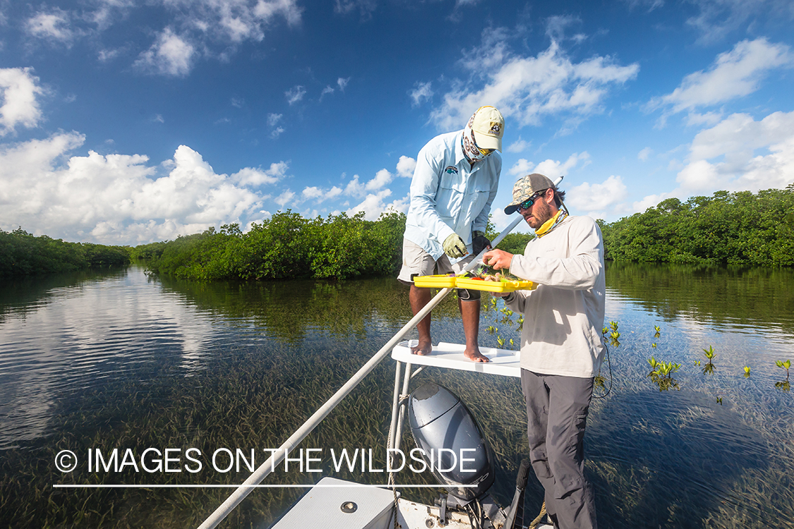 Choosing flies in Belize.