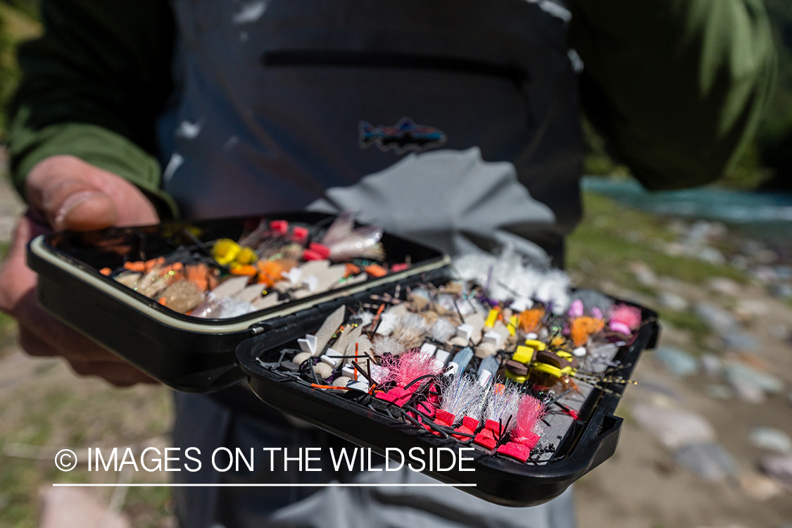 Flyfisherman choosing fly.