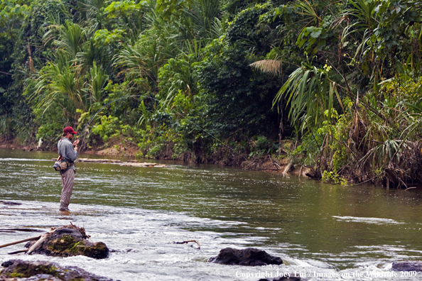 Flyfisherman landing a Golden Dorado