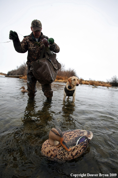 Setting Decoys