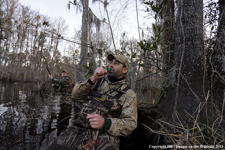 Waterfowl hunters calling ducks in southern wetlands. 