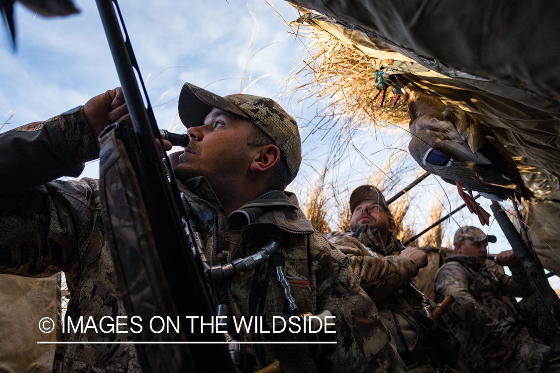 Waterfowl hunting