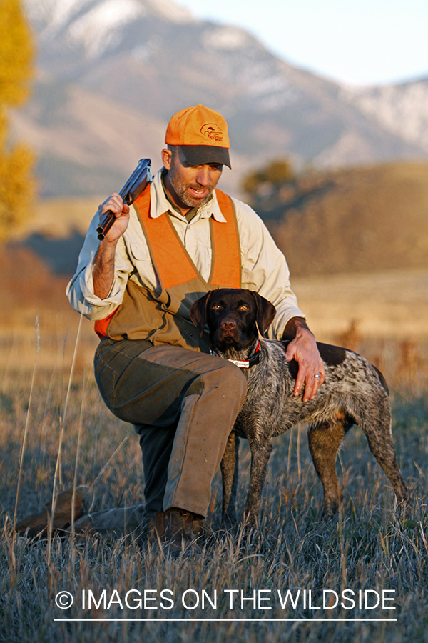 Upland game bird hunter in field with Griffon Pointer.