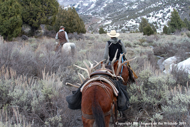 Big Game Hunters searching for drop sheds on horseback