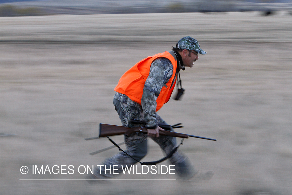 Big game hunter stalking game in field.