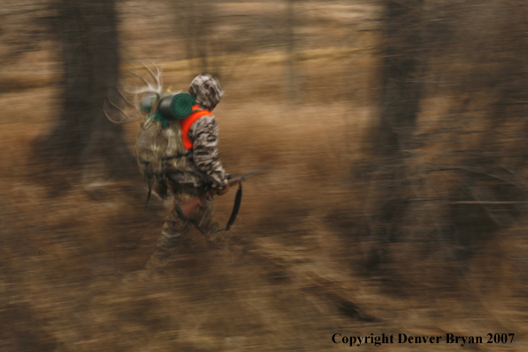 Mule deer hunter in field.