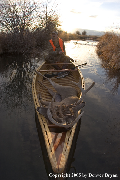 Big game hunter paddling canoe with bagged white-tail deer in bow