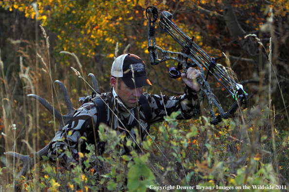 Bow hunter hiking with elk rack. 