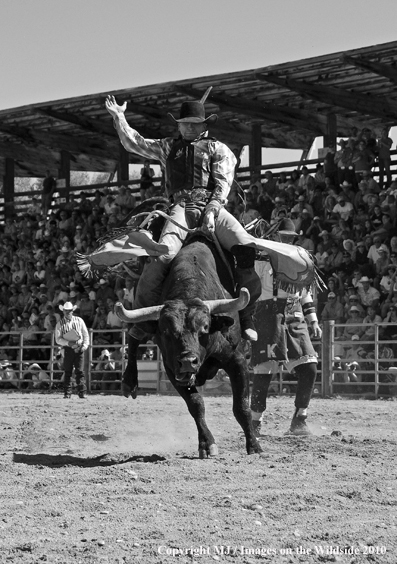 Augusta Rodeo